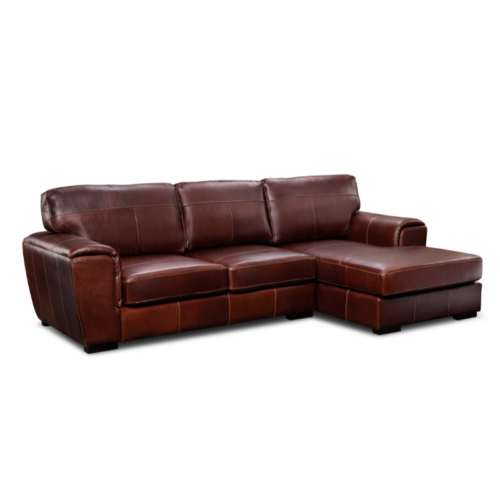 Harley 2 Div with Daybed