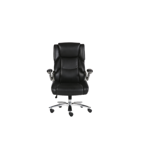 Office Chair CH5500